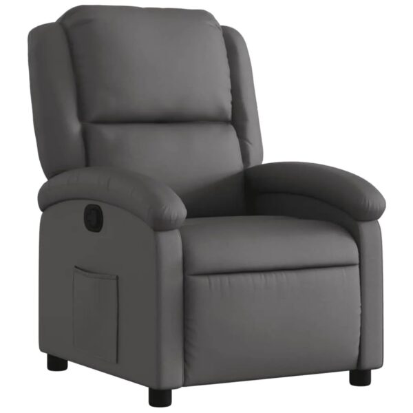 vidaXL Relaxsessel Grau Echtleder Modell 5