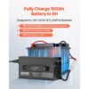 VEVOR 24 V 20 A Lithium-Batterieladegerät, 29,2 V, DC Ladespannung, 0-V-Aktivierung – Bild 2