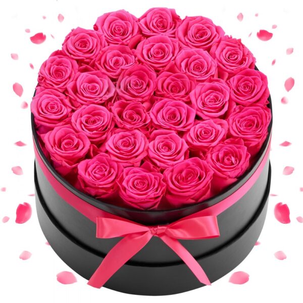 VEVOR 27 Stk. Ewige Rosen in runder Box, konservierter Blumenstrauß, Blumen Geschenkbox für ihre Frau VEVOR 27 Stk. Ewige Rosen in runder Box, konservierter Blumenstrauß, Blumen Geschenkbox für ihre Frau