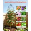 VEVOR Rankgitter, 220x52,5 cm 2er-Pack, Garten Spalier, Pflanzengitter für Blumen – Bild 5