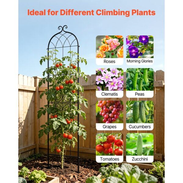 VEVOR Rankgitter, 220x52,5 cm 2er-Pack, Garten Spalier, Pflanzengitter für Blumen – Bild 5