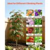 VEVOR Rankgitter, 152x40,5 cm 4er-Pack, Garten Spalier, Pflanzengitter für Blumen – Bild 5