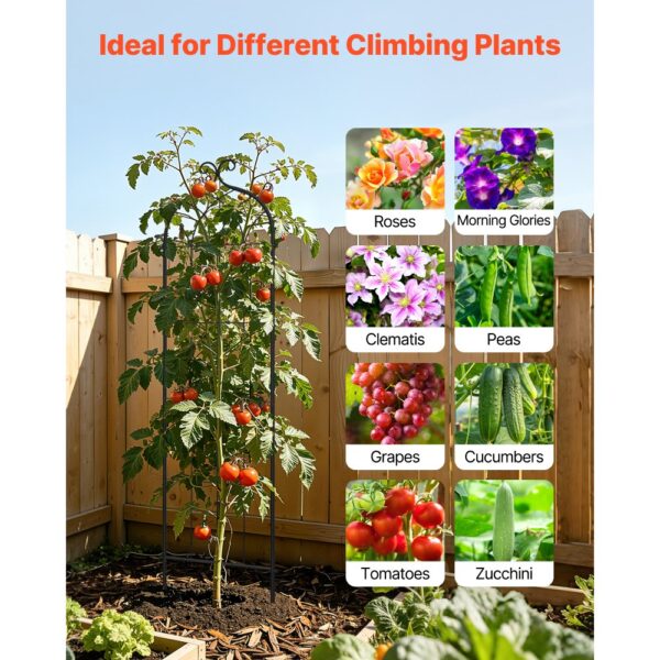 VEVOR Rankgitter, 152x40,5 cm 4er-Pack, Garten Spalier, Pflanzengitter für Blumen – Bild 5