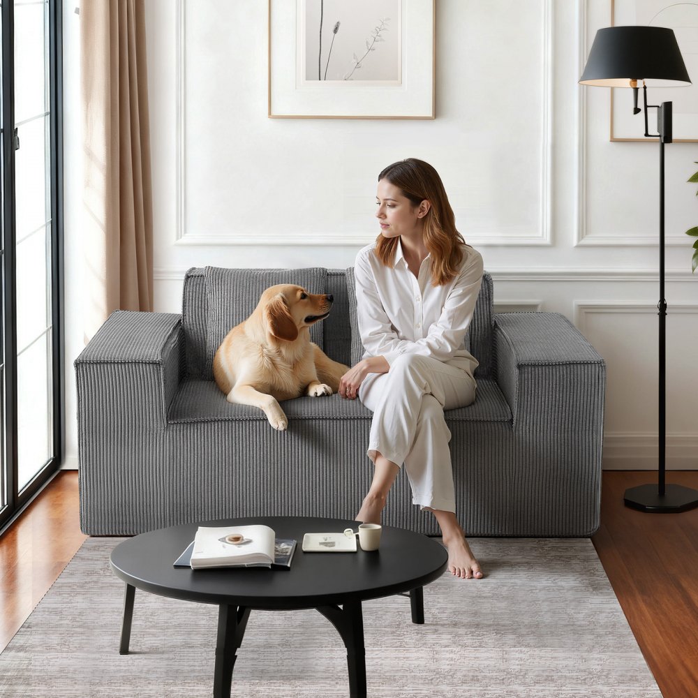 VEVOR Loveseat-Sofa Couch mit zwei Sitzen (160 cm breit), kein Zusammenbau erforderlich, grau