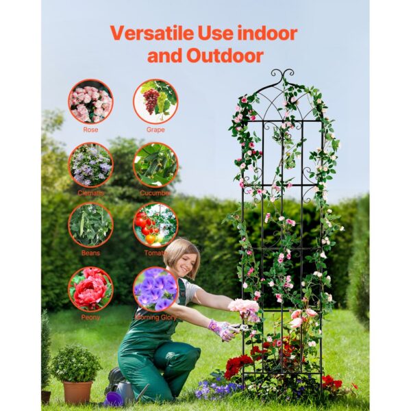 VEVOR Rankhilfe für Kletterpflanzen, 51x220 cm, 4er-Set rostfreies Metallspalier für Gartenblumen – Bild 4