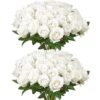 VEVOR Künstliche Blumen Rosen, 60 Stück Kunstblumen, Weiße Gefälschte Rose mit Stielen VEVOR Künstliche Blumen Rosen, 60 Stück Kunstblumen, Weiße Gefälschte Rose mit Stielen
