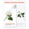 VEVOR Künstliche Blumen Rosen, 60 Stück Kunstblumen, Weiße Gefälschte Rose mit Stielen – Bild 5 VEVOR Künstliche Blumen Rosen, 60 Stück Kunstblumen, Weiße Gefälschte Rose mit Stielen – Bild 5