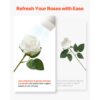 VEVOR Künstliche Blumen Rosen, 120 Stück Kunstblumen, Weiße Gefälschte Rose mit Stielen – Bild 5 VEVOR Künstliche Blumen Rosen, 120 Stück Kunstblumen, Weiße Gefälschte Rose mit Stielen – Bild 5
