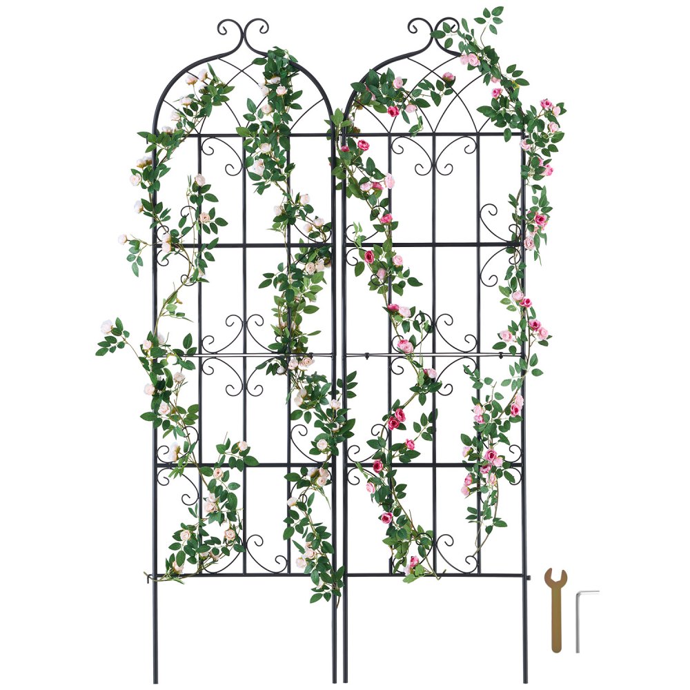 VEVOR Rankhilfe für Kletterpflanzen, 51x180 cm, 2er-Set rostfreies Metallspalier für Gartenblumen