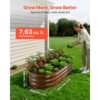 VEVOR Hochbeet Metall 2er-Pack 120x60x30 cm, Ovales Gartenbeet, Pflanzkasten-Set für den Außenbereich – Bild 2