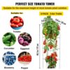 VEVOR Tomatenkäfige, 30 x 30 x 117 cm, 5er-Set quadratische Pflanzenstützkäfige – Bild 3