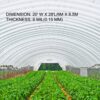 VEVOR PE Gewächshausfolie 6 M Länge x 8,5 M Breite Transparent Treibhausfolien, 0,15 mm Dicke Folientunnel – Bild 3