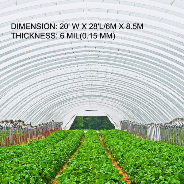 VEVOR PE Gewächshausfolie 6 M Länge x 8,5 M Breite Transparent Treibhausfolien, 0,15 mm Dicke Folientunnel – Bild 3